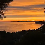 Nest Διαμέρισμα